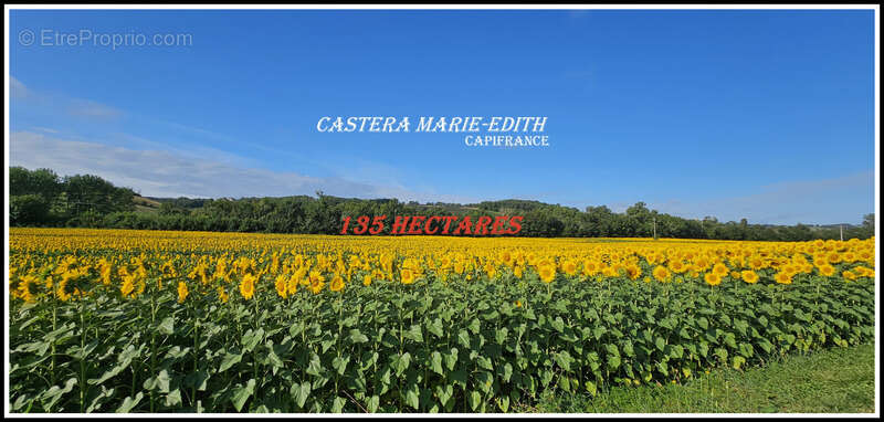 Dpt Gers (32), à vendre proche AUCH - propriété agricole - 145 Hectares avec LAC et 860 M² de bâtiments - photo 3