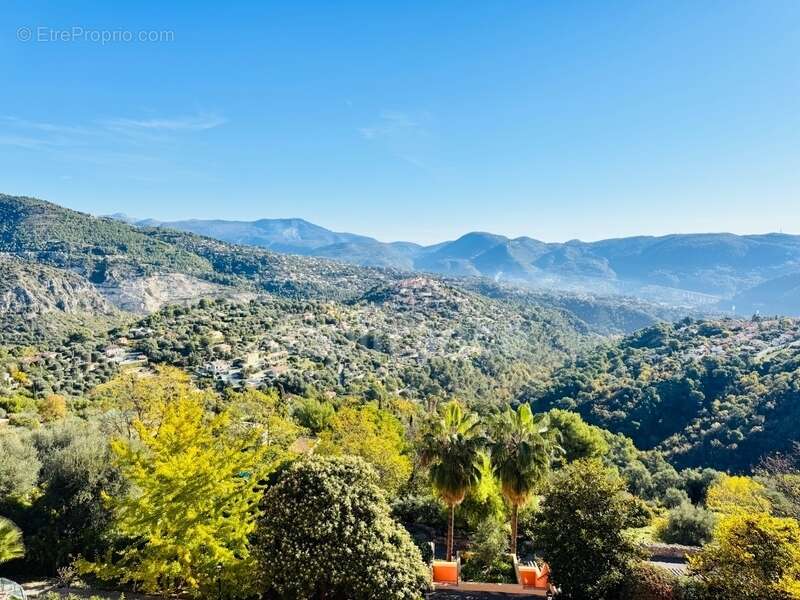 Appartement à FALICON