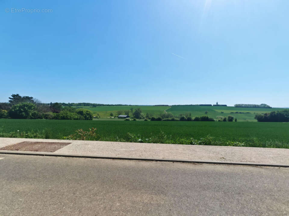 Terrain 600 m² à Pournoy-La-Grasse  - photo 5