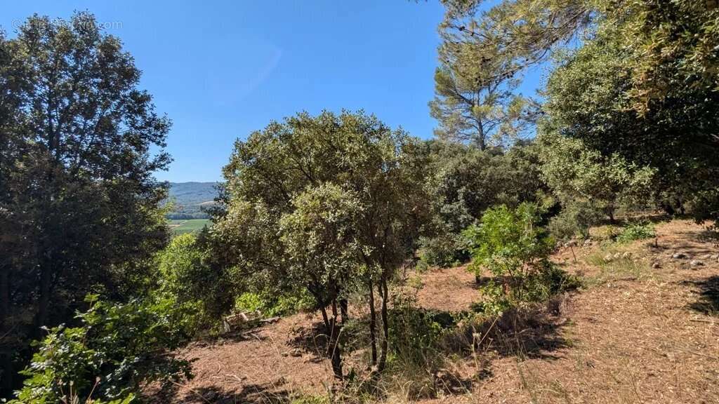 MONTFORT-SUR-ARGENS - Terrain constructible 940m² dans le village - photo 3