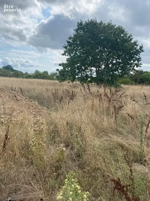Terrain 505 m² à Montauban  - photo 2