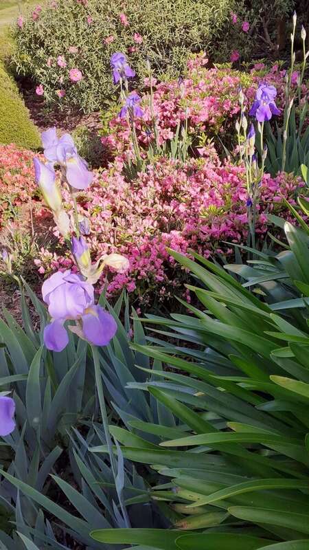 Appartement à PREFAILLES