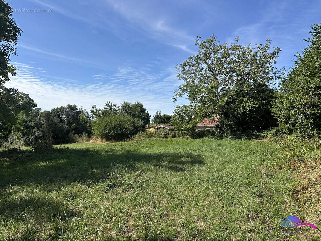 Terrain à SIDIAILLES