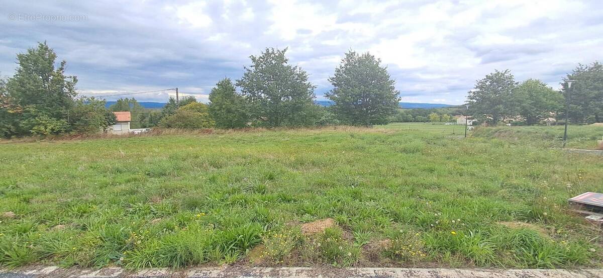 Photo 1 - Terrain à LABRUGUIERE