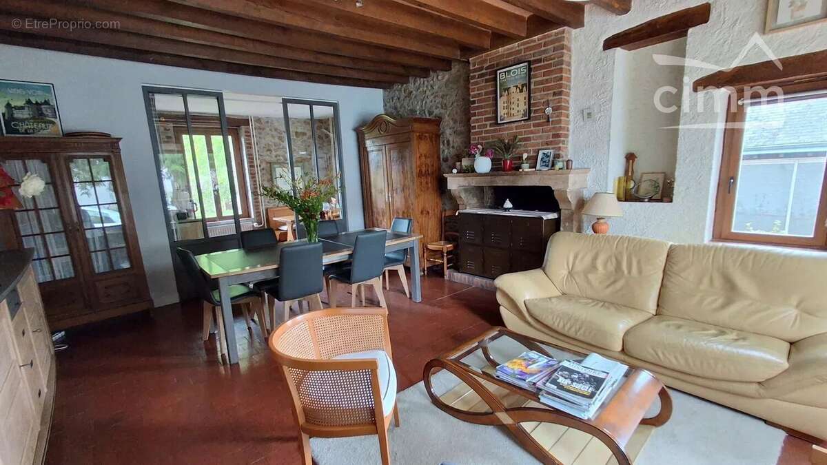 A VENDRE, Vineuil, propriété de charme avec chambres d'hôtes, gites et piscine - photo 3