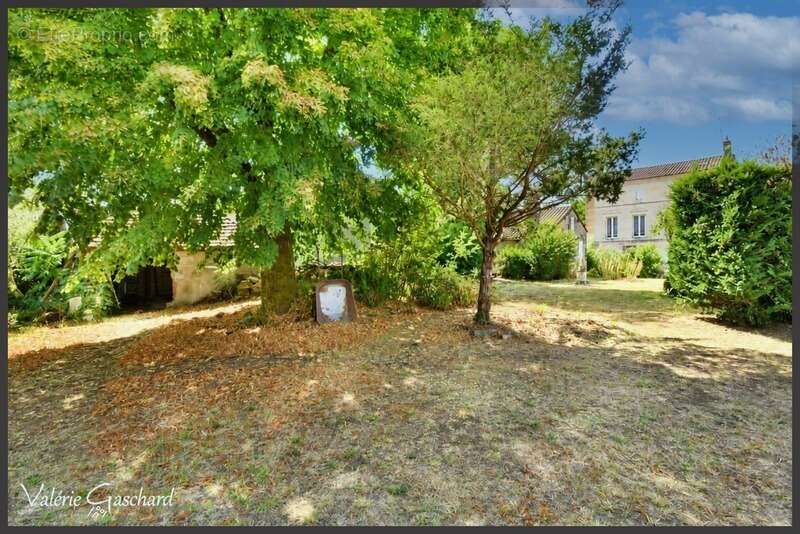 St Antoine sur l'isle  ( Gironde) - Maison en Pierre 250 m² + dépendance et piscine - photo 13