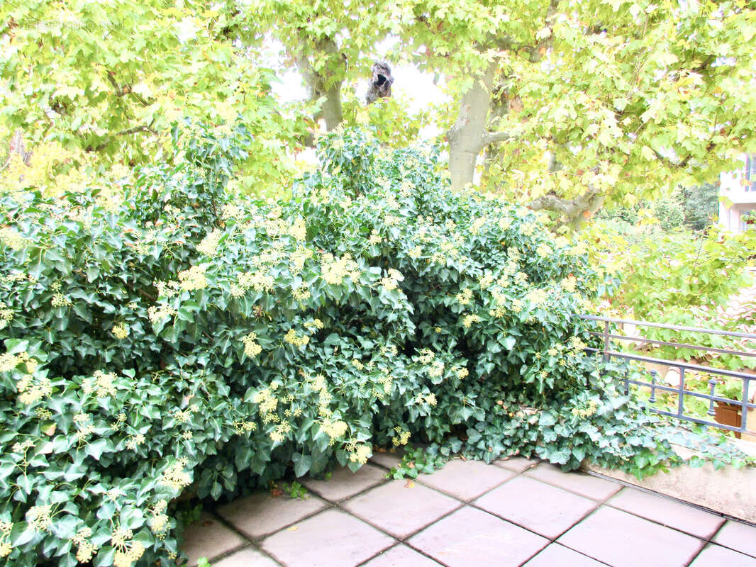 Appartement à MARSEILLE-11E