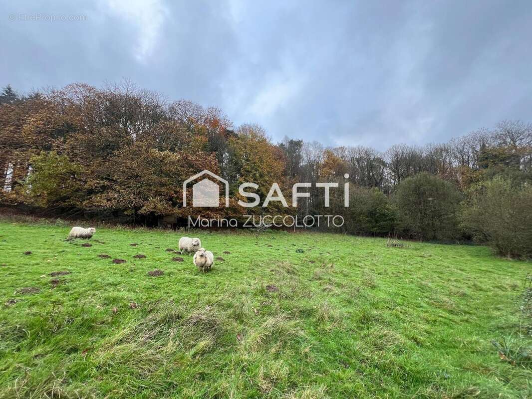 Photo 2 - Terrain à MENEAC