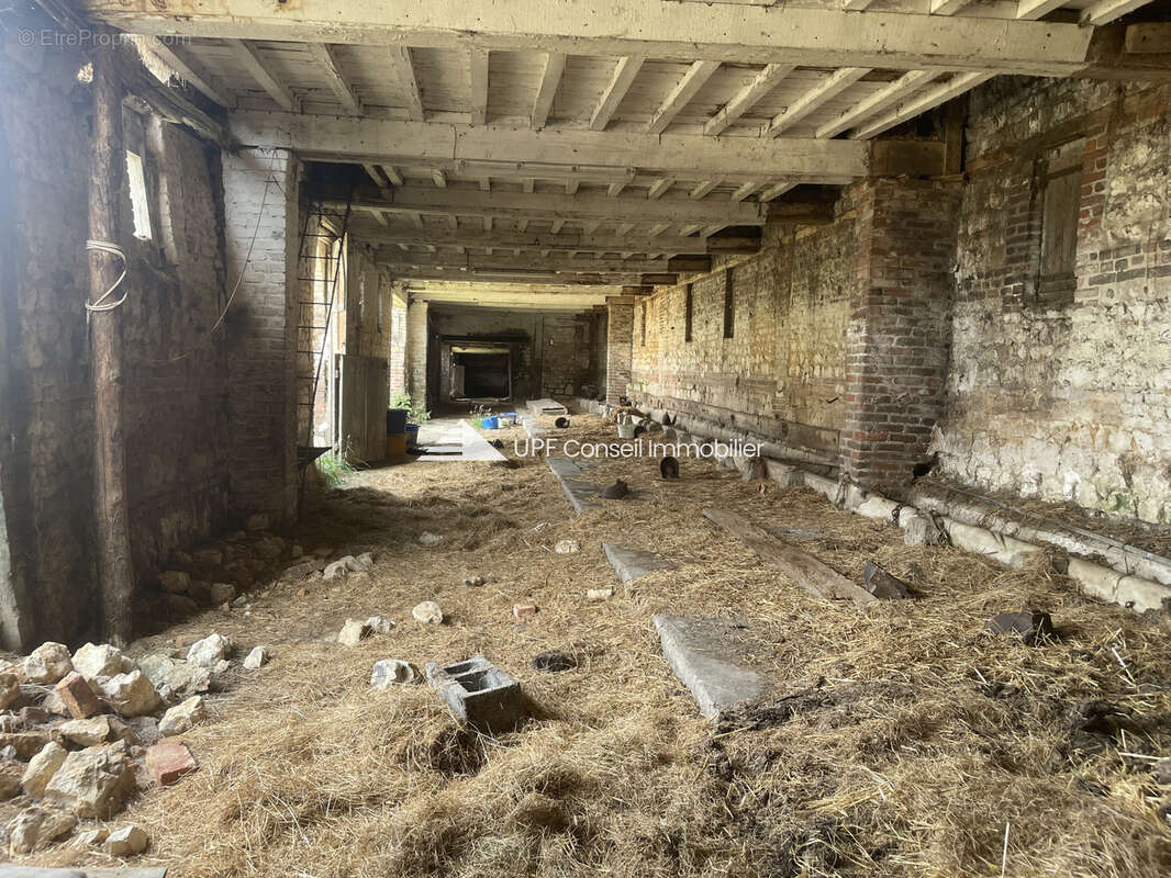 Bâtiment -Hangar - photo 4