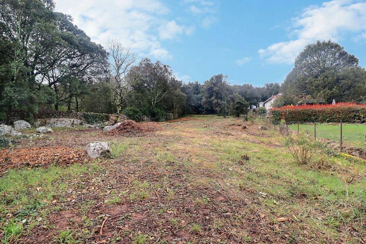 Terrain à VALLON-PONT-D&#039;ARC