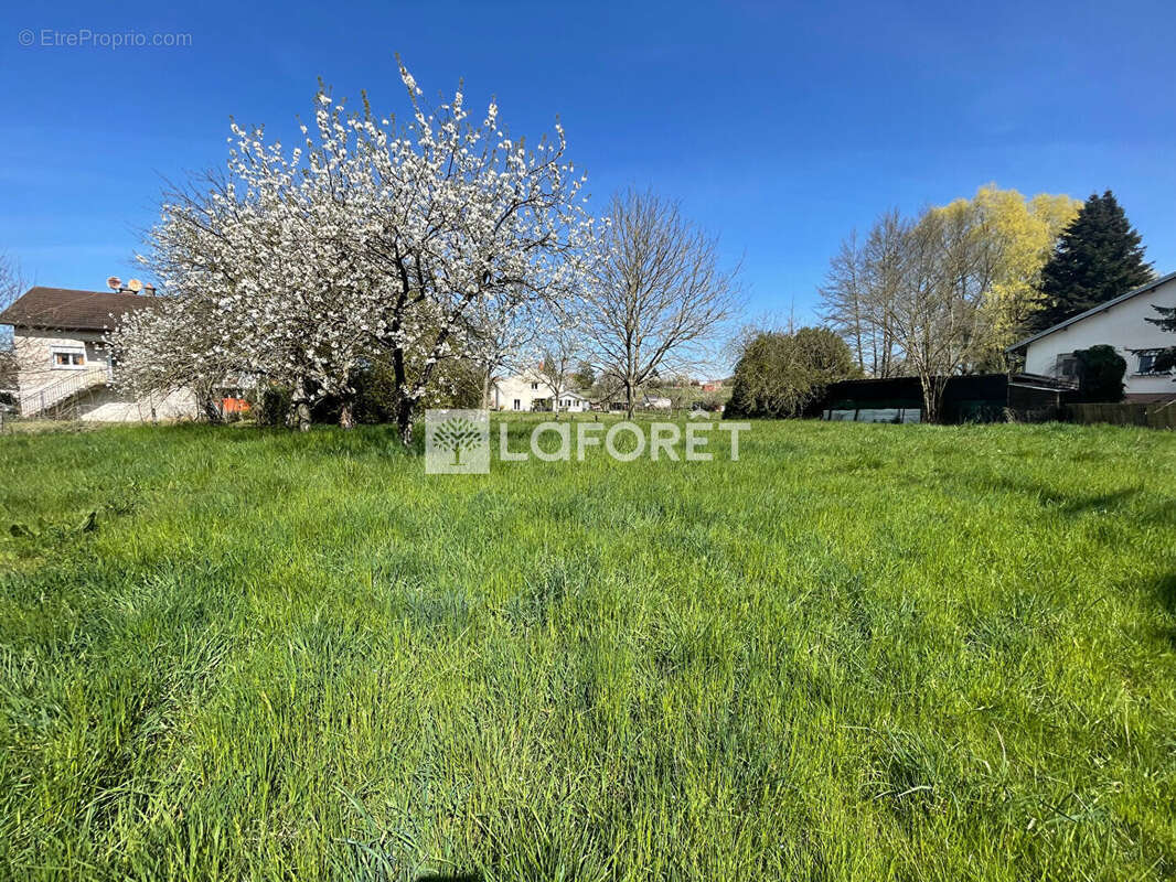 Terrain à VELESMES-ECHEVANNE