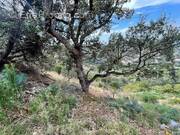 Terrain à LE BOULOU