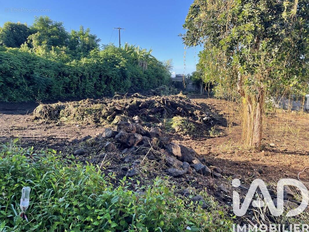 Photo 1 - Terrain à LE TAMPON