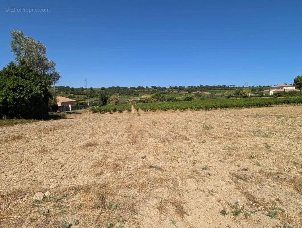 Terrain à ESTEZARGUES