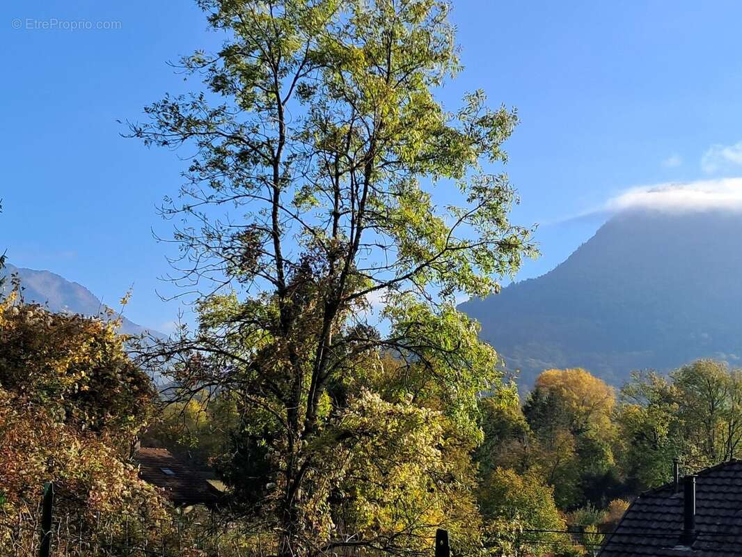 Appartement à FAVERGES