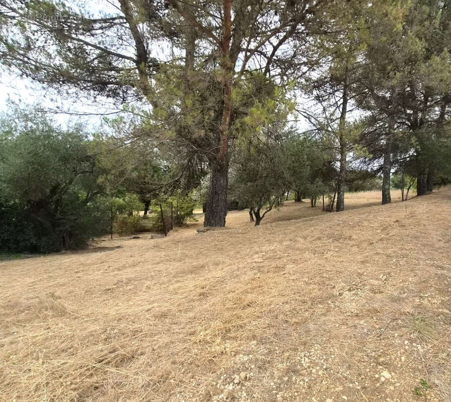Terrain viabilisé à vendre  ALES (30) - photo 2