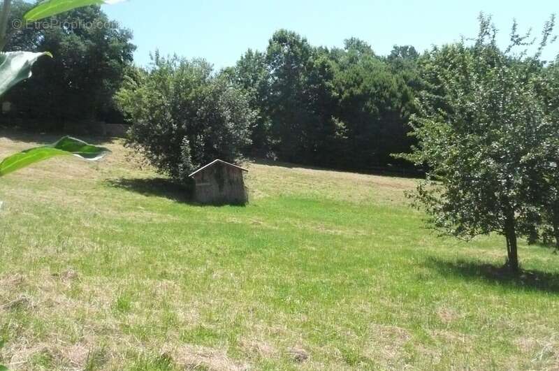 Terrain à BRIVE-LA-GAILLARDE