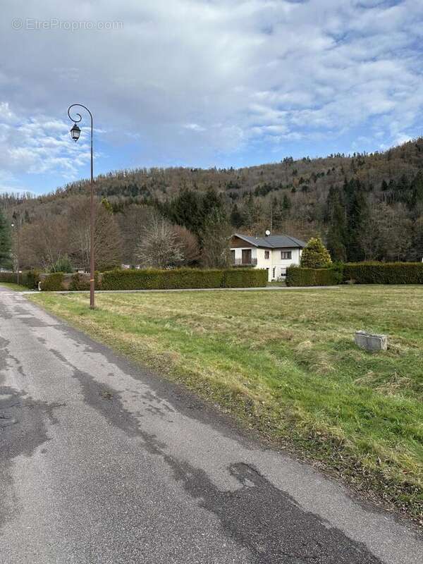 IMG_7714 - Terrain à SAULXURES-SUR-MOSELOTTE