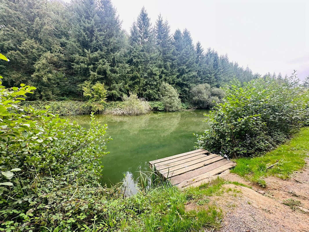 Maison à SENS-DE-BRETAGNE