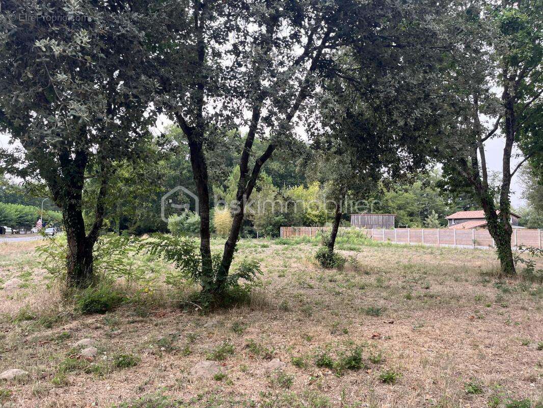 Terrain à SOULAC-SUR-MER