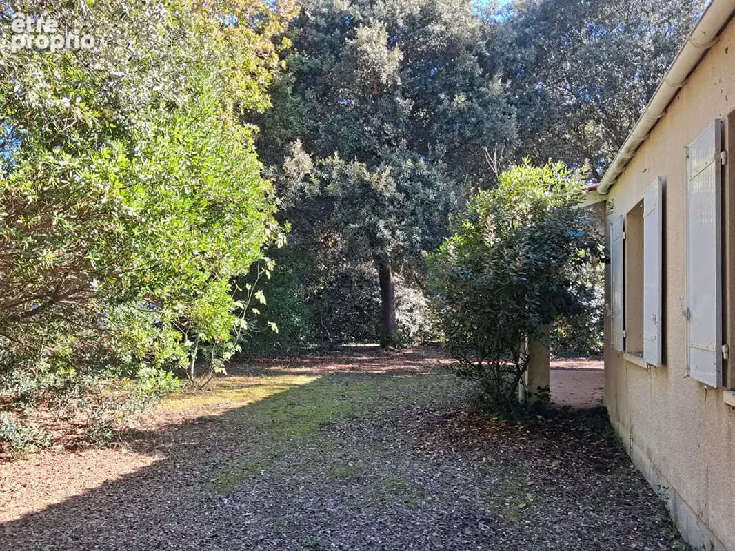 Villa en bord de mer - un cadre privilégié au c?ur des dunes - photo 4