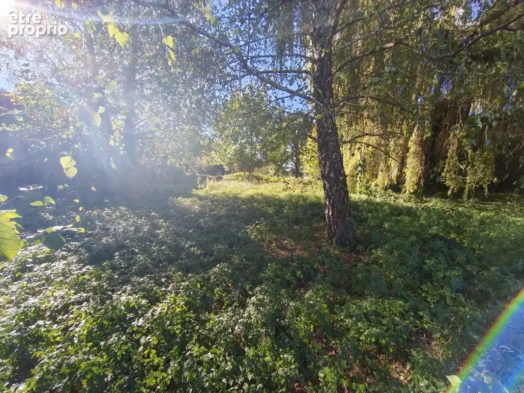 À VENDRE   Terrain constructible de 3 599 m2 avec bâtiment à rénover   Polliat - photo 6