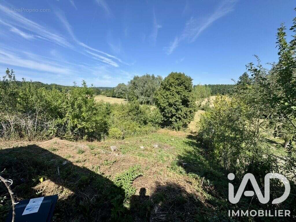 Terrain 529 m² à Challerange  - photo 2