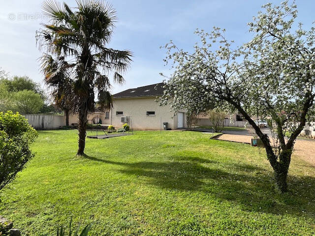 Maison à SAINT-QUENTIN-FALLAVIER