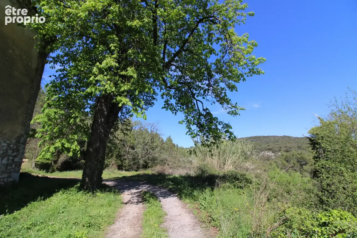 Mas de 2500 m2 sur 26 hectares. - photo 53