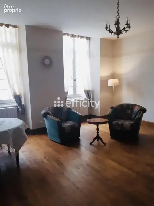 Hôtel particulier - photo 13