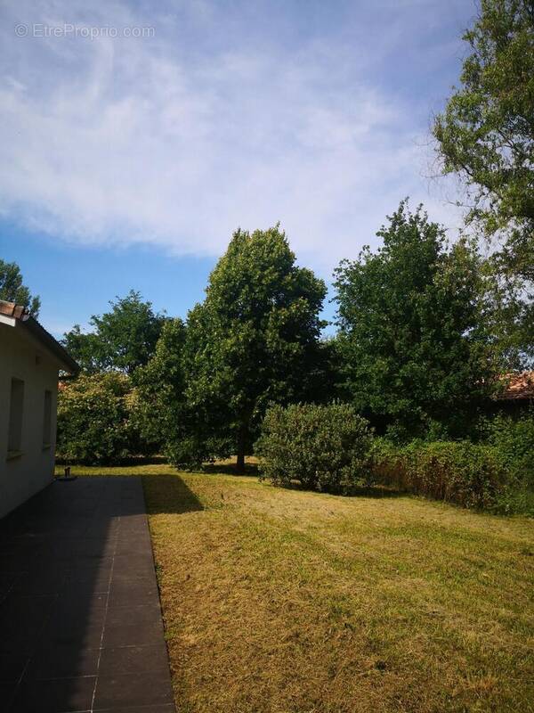 Photo 1 - Maison à MONTAUBAN