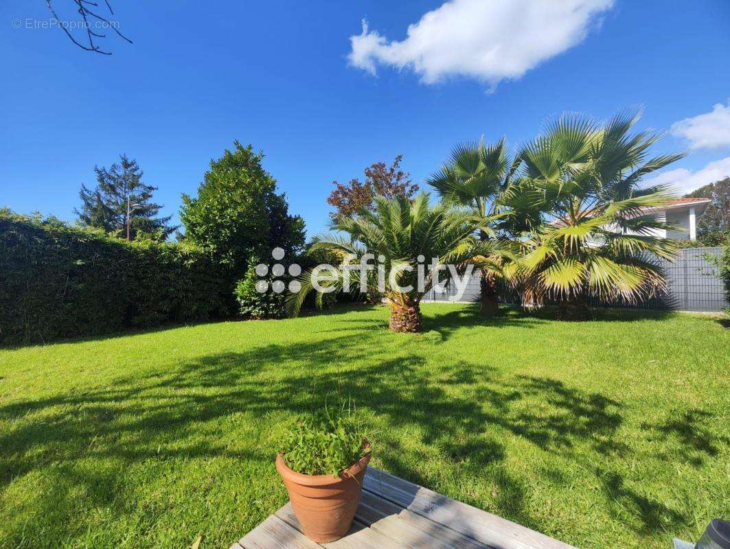 Maison 93 m² à Angresse  - photo 14