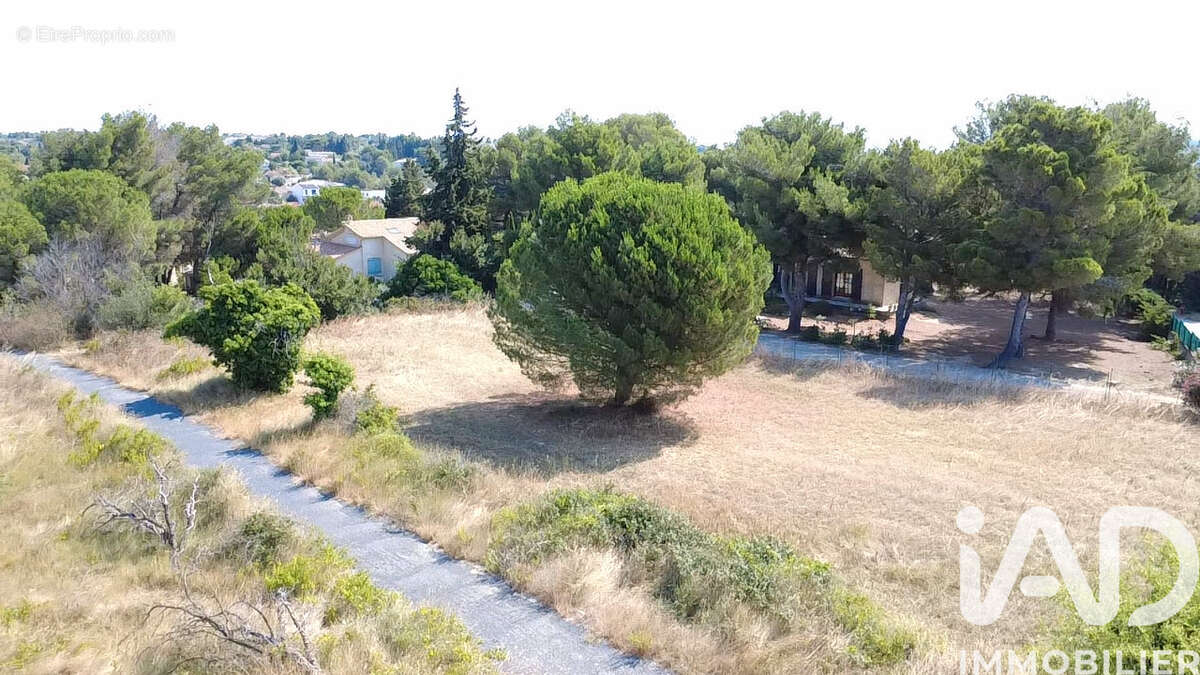 Photo 2 - Terrain à SALLES-D'AUDE