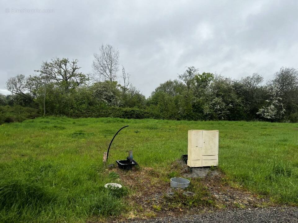 Terrain à BOUIN