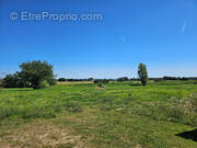 Terrain à SAINT-MARTIN-LE-CHATEL