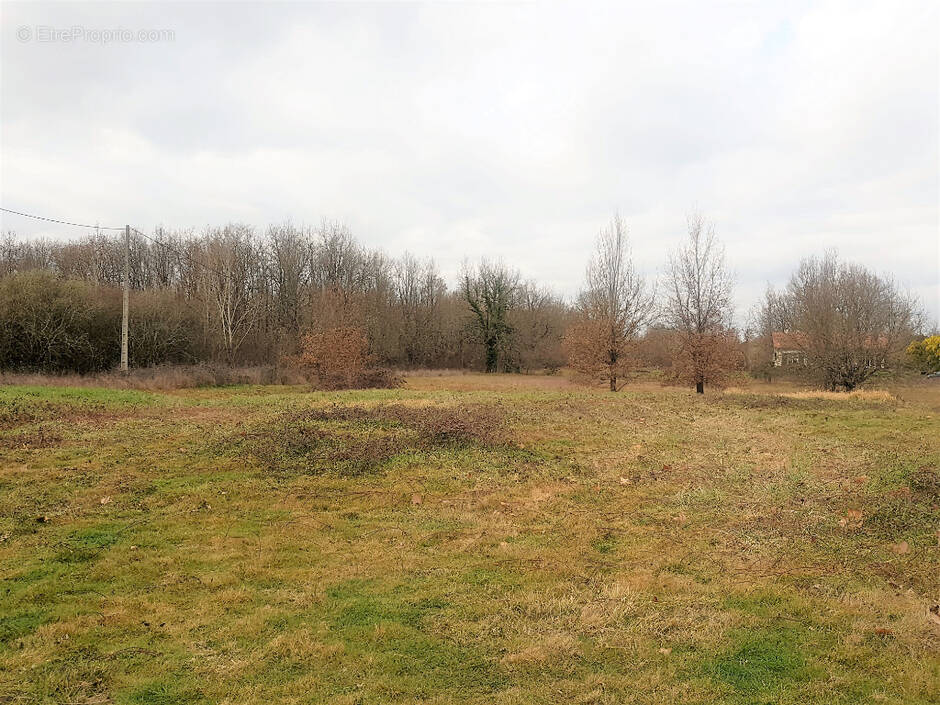 Terrain à DIEUPENTALE