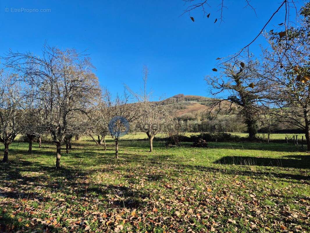 Maison à OLORON-SAINTE-MARIE