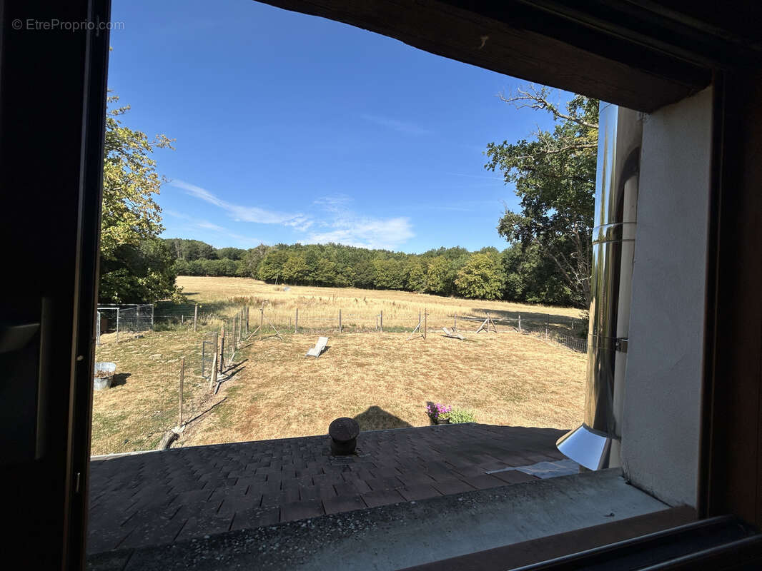 Propriété 3,7 ha : maison ancienne rénovée, mare, friche, bois, prairie - photo 12