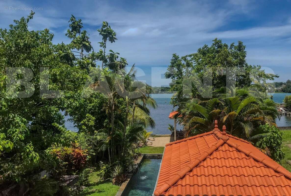 IMG_1434 - Maison à LA TRINITE