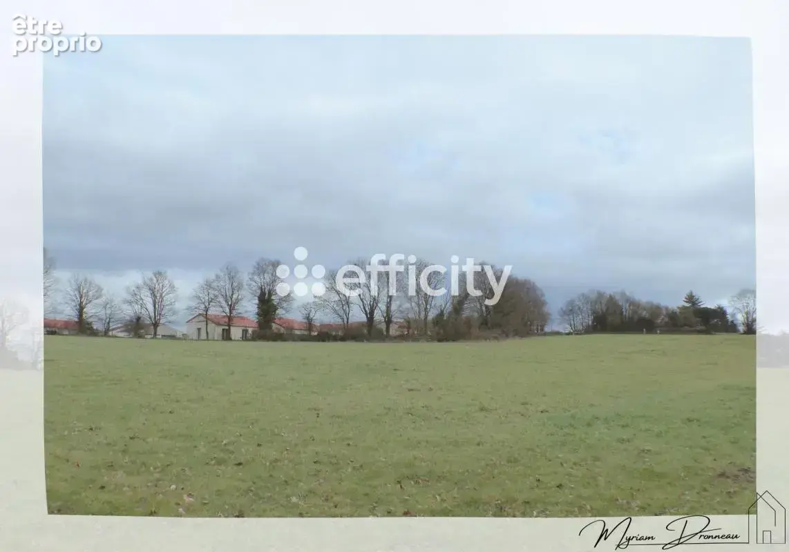Terrain 10 000 m² à vendre à Mauleon (79700) - photo 2