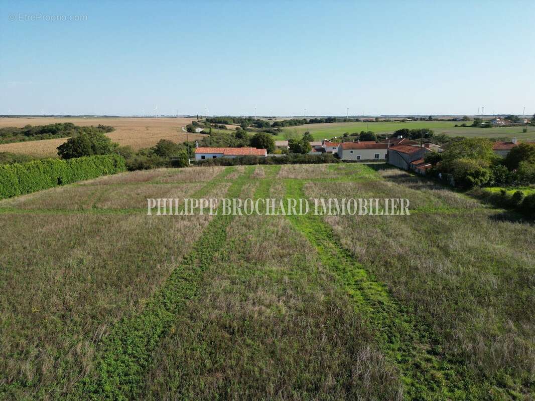 Terrain à MOUZEUIL-SAINT-MARTIN