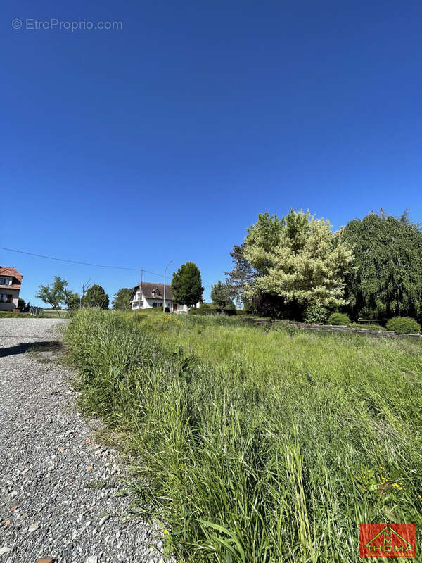 Terrain à BERENTZWILLER