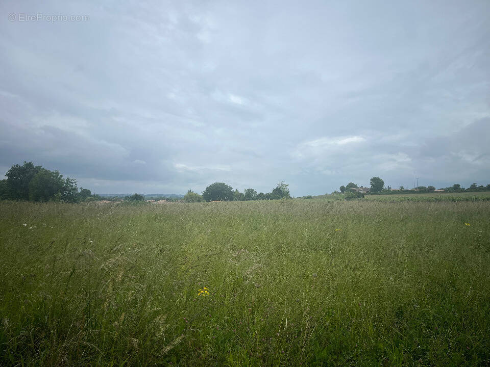 Terrain à SAINT-SAVIN