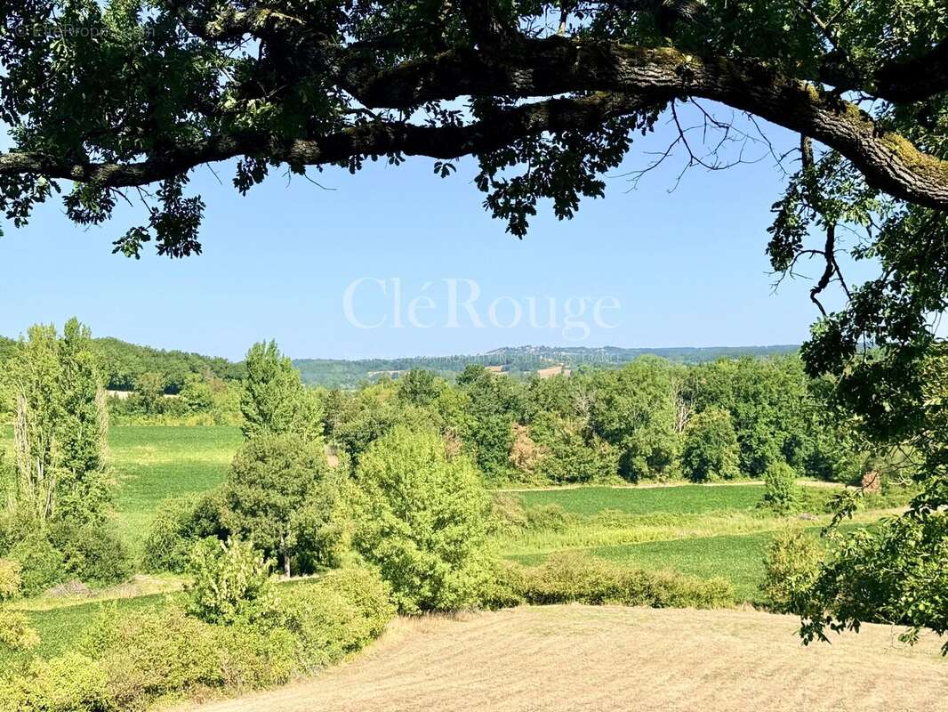 Près d'Eymet - Magnifique château de 5/6 chambres, sur un terrain de 1,6 hectare - photo 28