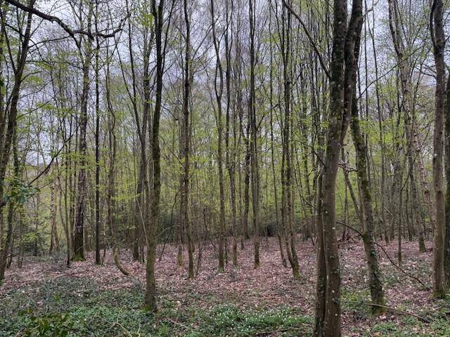 Autre à FUMICHON