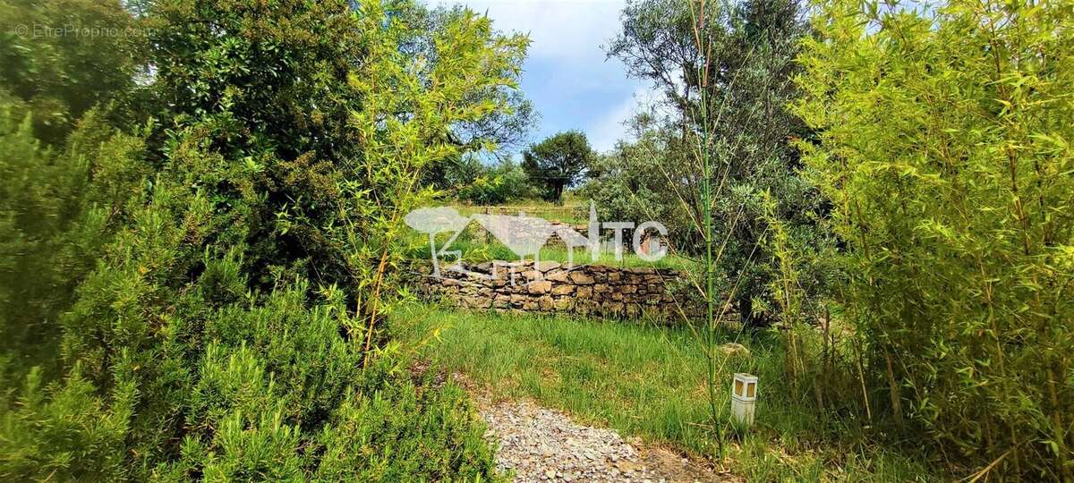 Maison à SAINT-PAUL-LE-JEUNE