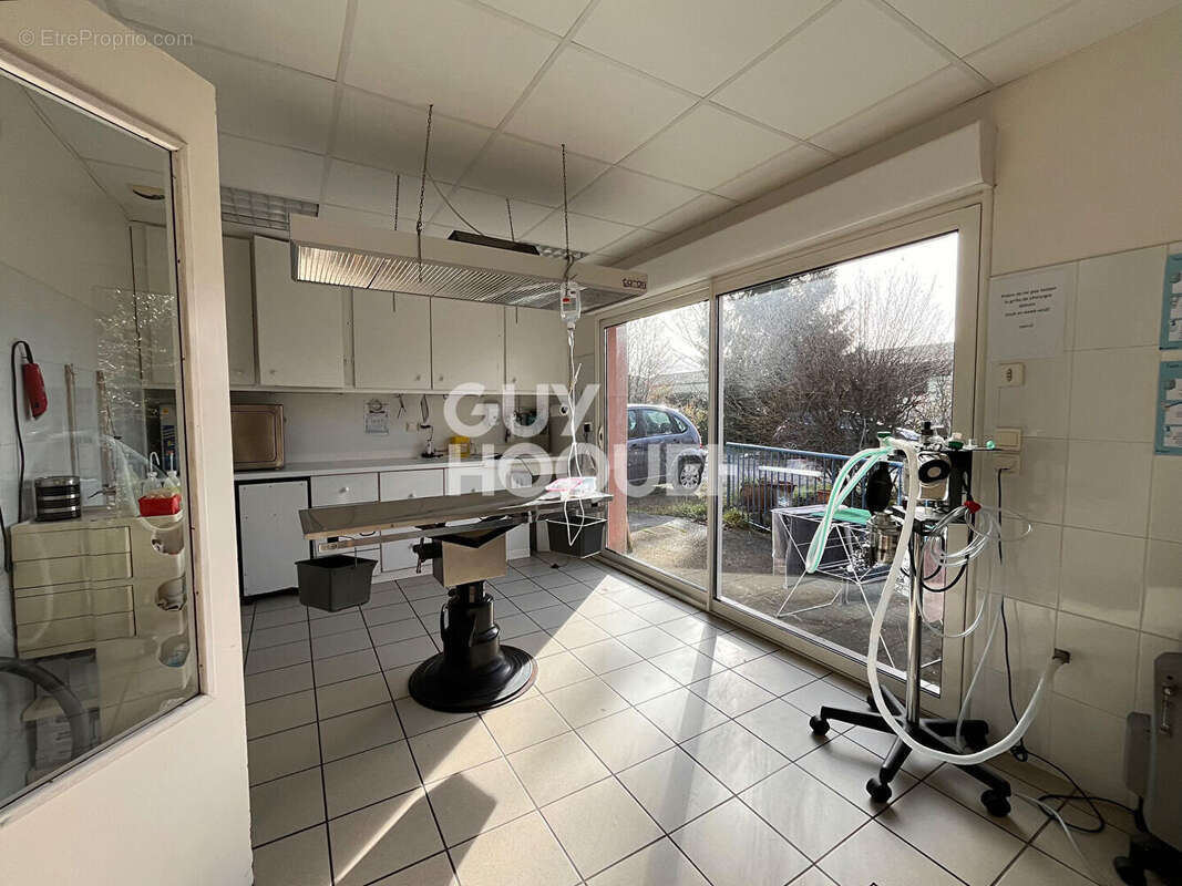 Commerce à SAINT-SEVER