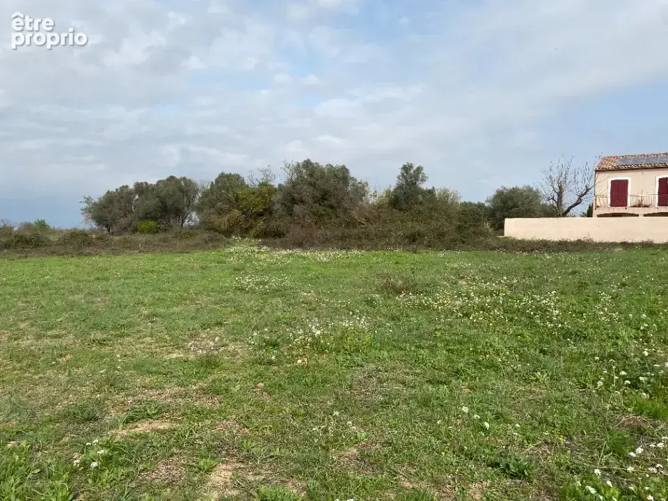 Terrain à SALLES-D'AUDE
