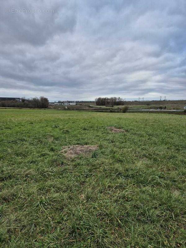 Terrain à NEUVILLE-SUR-VANNES