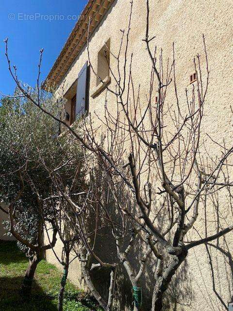 Maison à PAULHAN